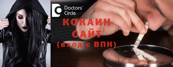 дживик Туринск